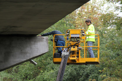 Diagnostic survey and main and extraordinary inspections of bridges, including processing of records